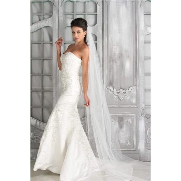 Bride Wedding Cathedral Veil Long Drop Veils Simple Chapel Soft Tulle Bridal Vei - Picture 1 of 7